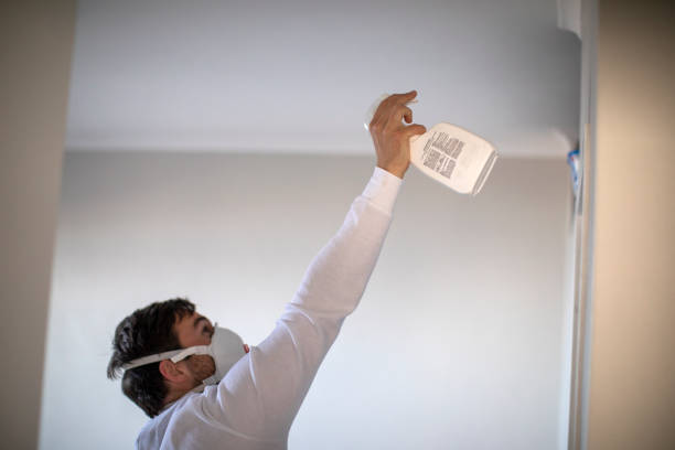 Best Attic Mold Remediation in Gray, LA