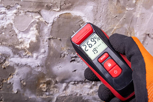 Best Industrial Mold Remediation in Gray, LA