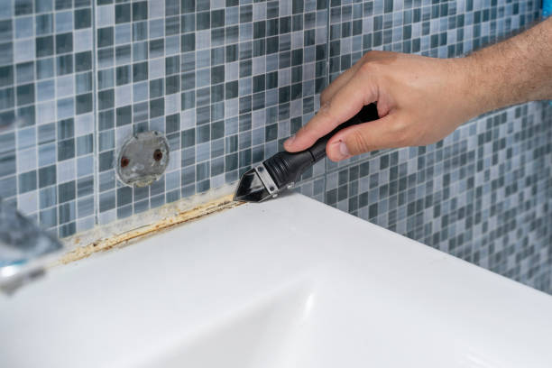 Best Post-Flood Mold Remediation in Gray, LA